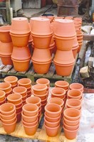 Flower pots for West Dean